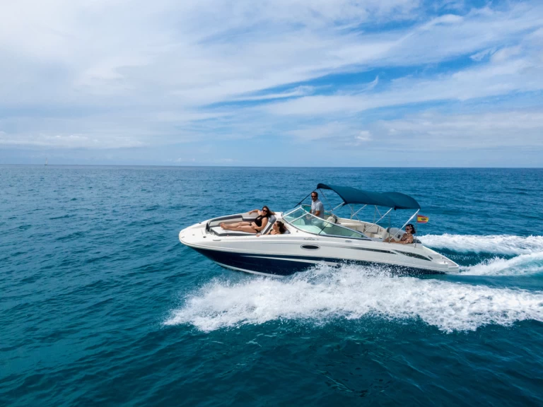 Sea Ray Sea Ray 260 Sundeck in Ibiza Town on SamBoat