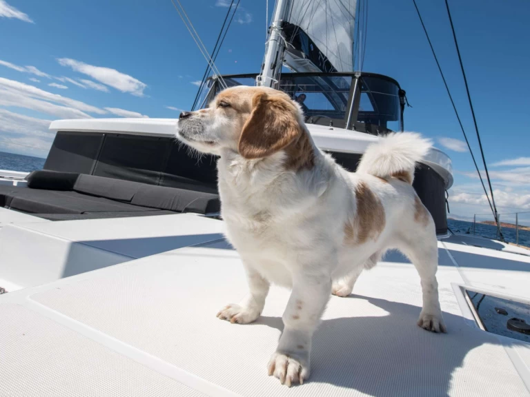 Luxury Yacht for rent Lávrio at the best price