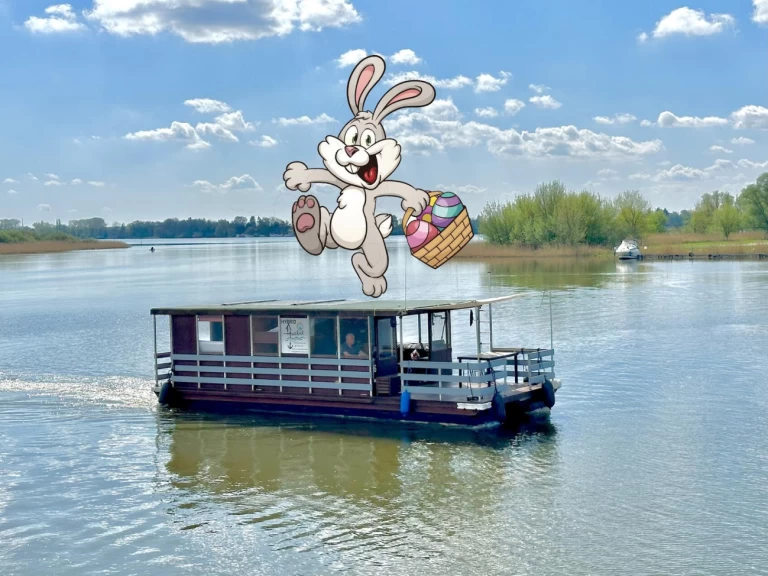 Houseboat rental in Loitz - TS1000 TS1000