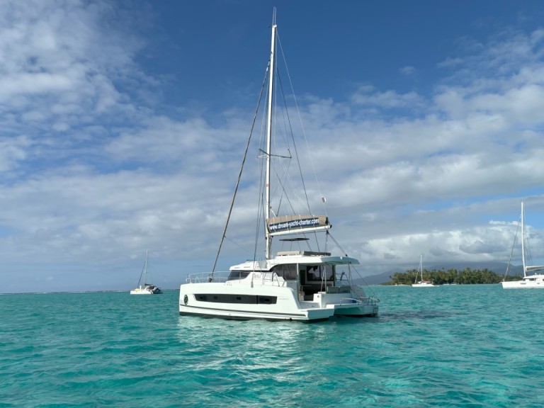 Catamaran rental with or without captain Bali Anse Marcel