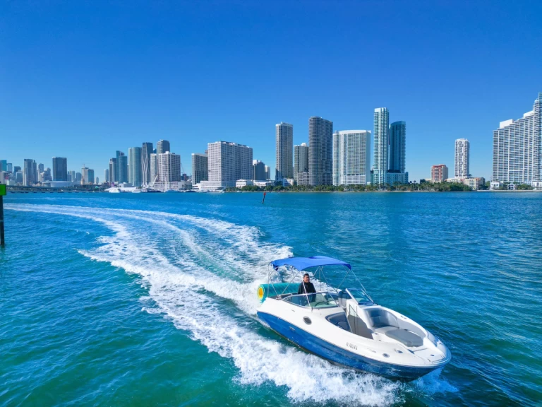 Bareboat Rental Motorboat Sea Ray with a boat licence