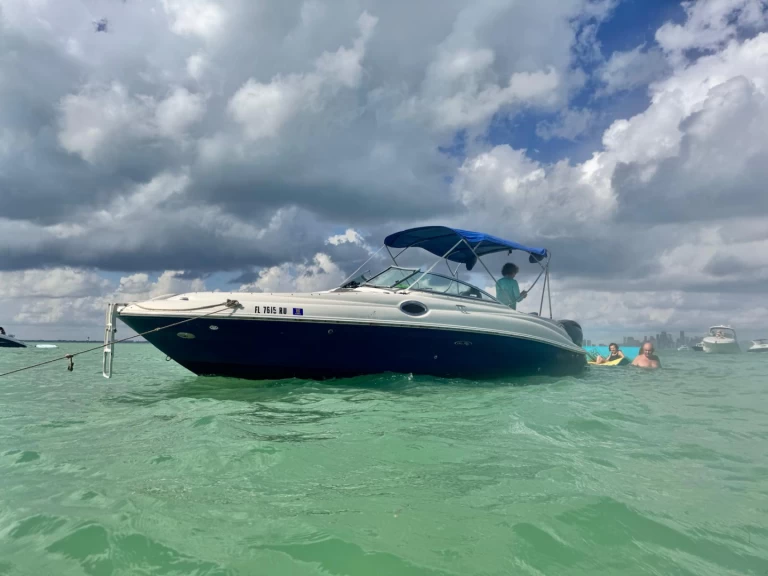Yacht charter Miami cheap Sea Ray 260 Sundeck