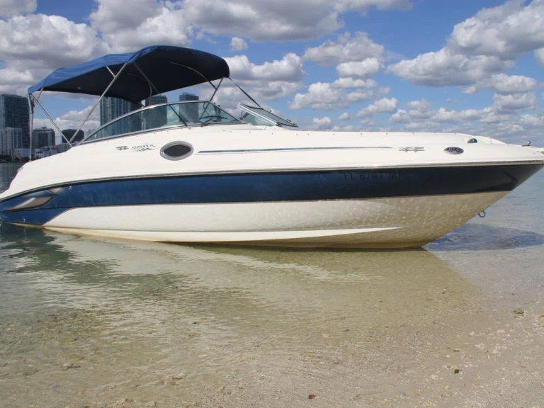 Boat rental Sea Ray Sea Ray 260 Sundeck in Miami on Samboat