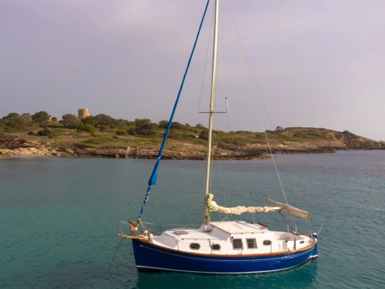 Yacht charter Palma de Mallorca cheap delfin 28