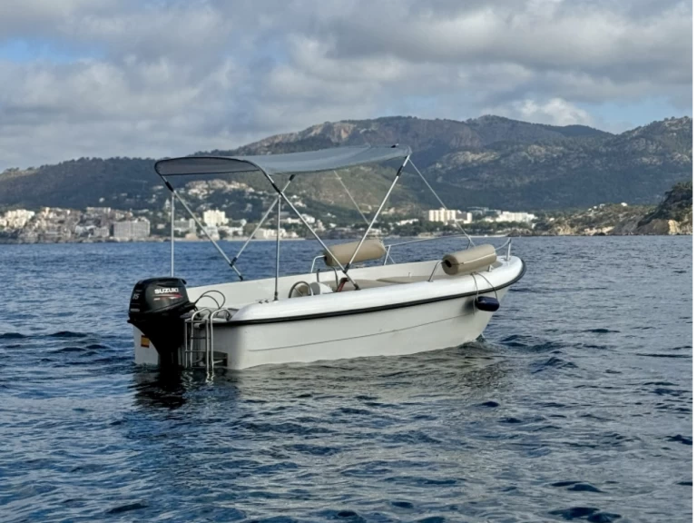 Motorboat rental with or without captain Estable Santa Ponsa