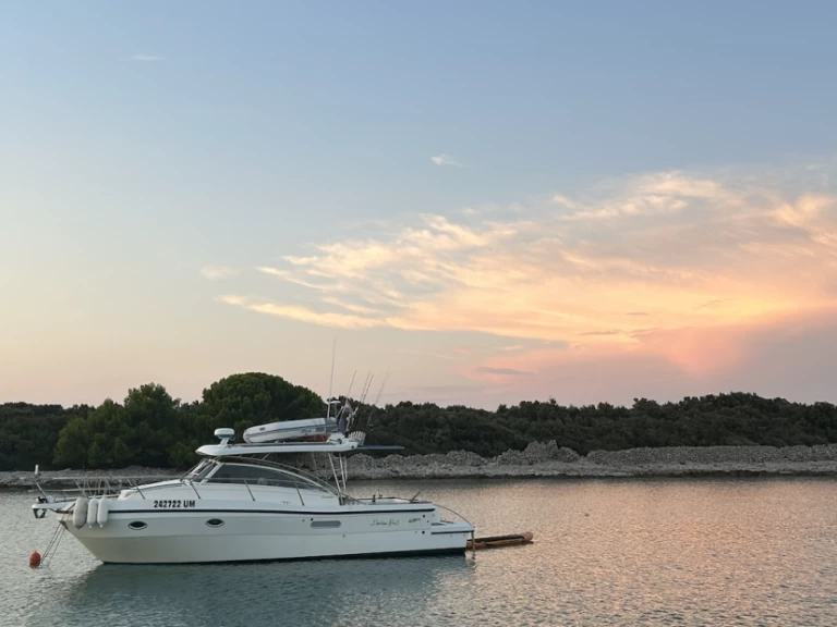 Polyform Triakis C30 charter bareboat or captained in  Umag