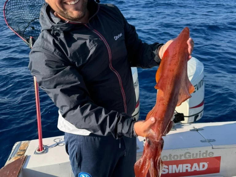Bayliner Trophy 2302 WA Special Peche charter bareboat or captained in  Bacoli
