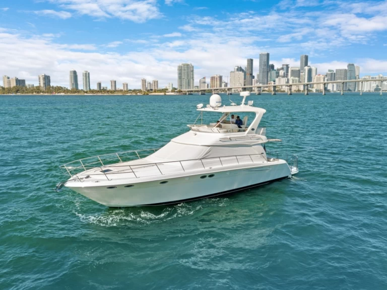 Sea Ray Sea Ray 550 Sedan Bridge charter bareboat or captained in  Miami