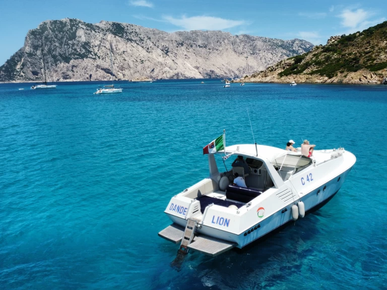 Motorboat rental in Porto Rotondo - Tecnomarine C 42