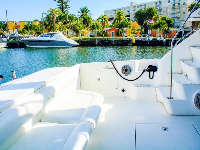 Motorboat rental in Miami - Sea Ray 450 fly bridge 