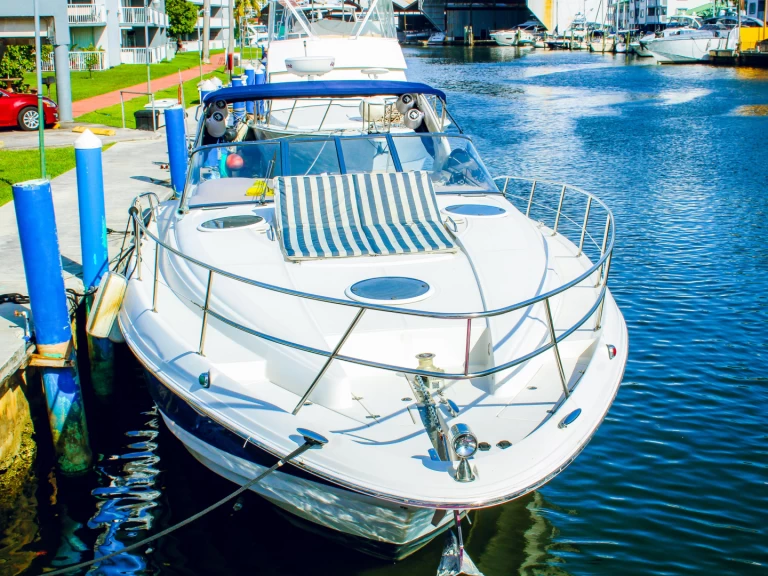 Motorboat rental with or without captain Régal North Miami Beach