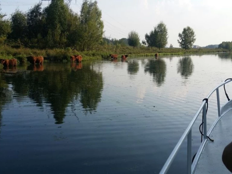 Motorboat for rent Bunschoten at the best price