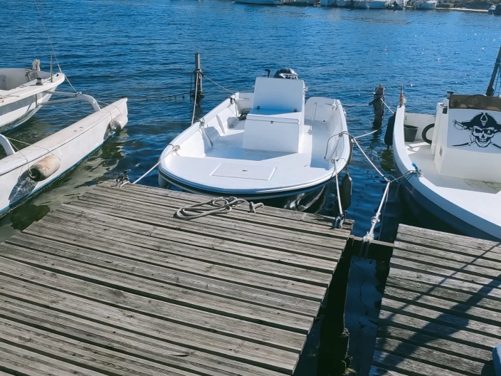 Motorboat rental in Balaruc-les-Bains - C.N ALLEMAN SAPINOU