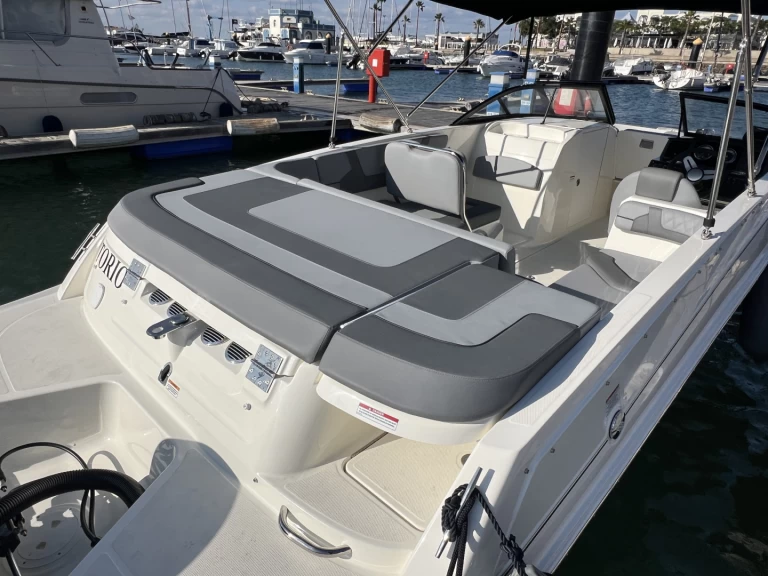 Bareboat Rental Motorboat Bayliner with a boat licence