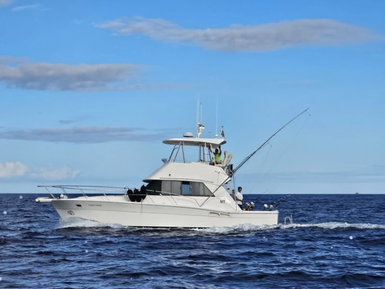 Motorboat rental in Ponta Delgada (São Pedro) - Riviera Riviera 39 Open Flybridge