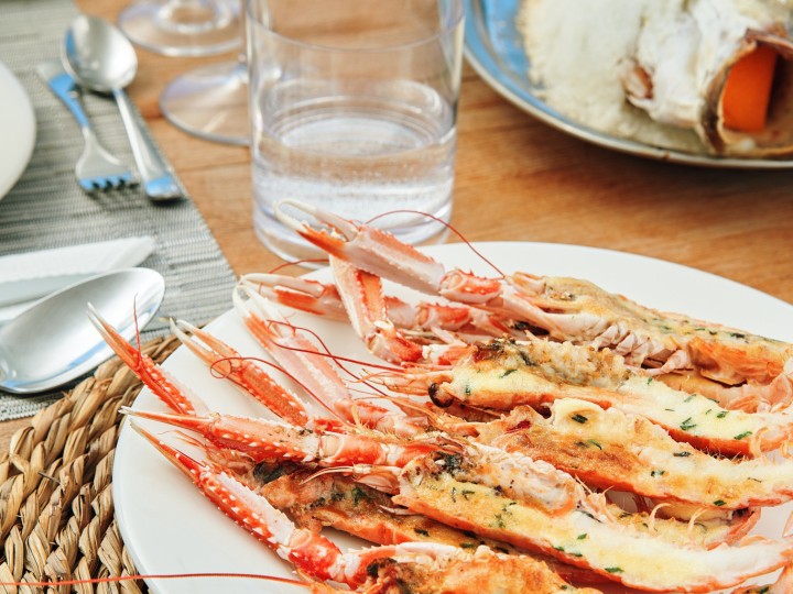 Lagoon Lagoon 52 charter bareboat or captained in  Sant Antoni de Portmany