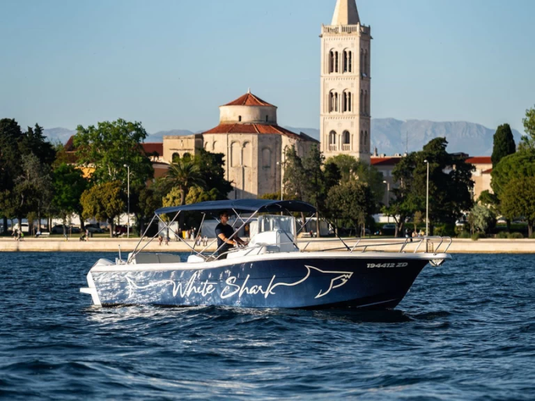 Kelt WHITE SHARK 265 in Zadar on SamBoat