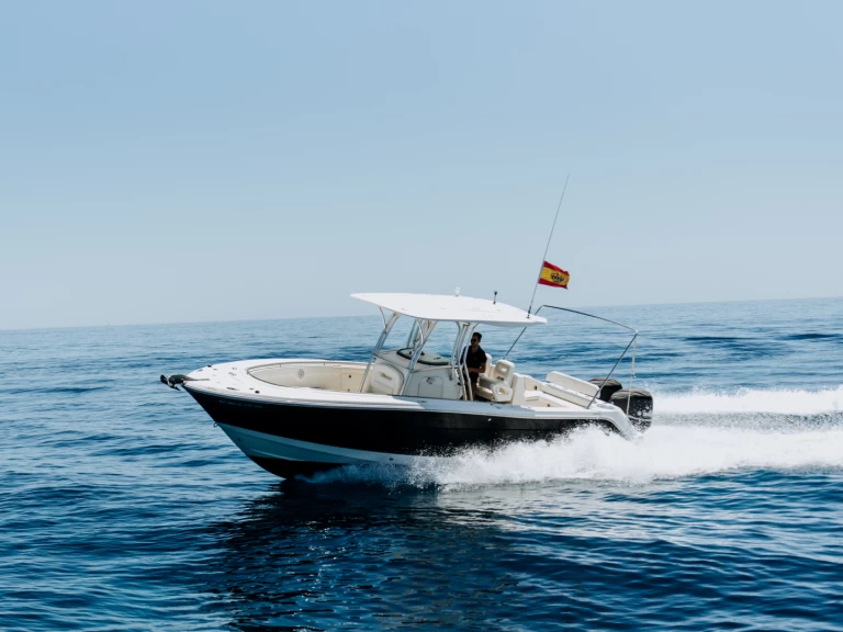 Motorboat rental in Ibiza Town - Robalo 300 