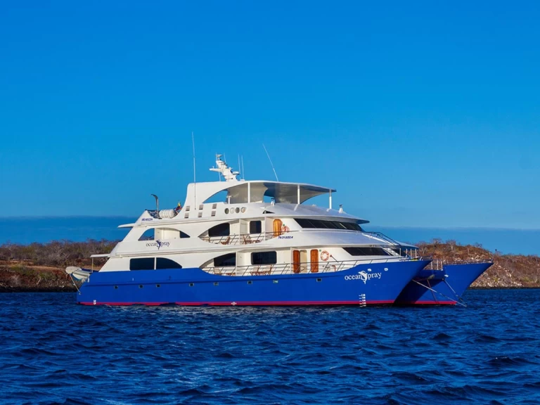 Bareboat Rental Luxury Yacht  with a boat licence