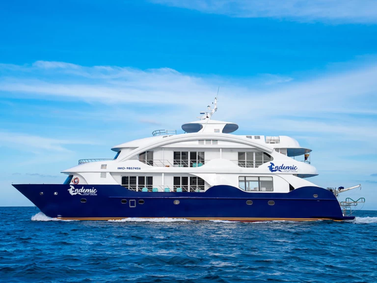 Luxury Yacht rental in Puerto Baquerizo Moreno -  Power Cat - Endemic