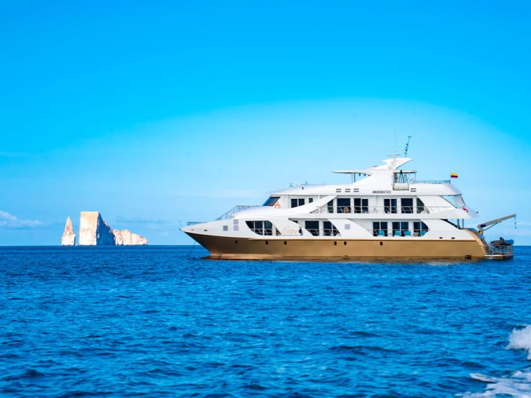Luxury Yacht rental in Baltra Island -  Power Cat - Elite