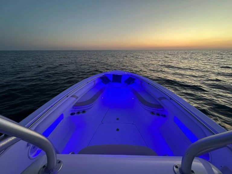 Yacht charter Hydra cheap Boston Whaler 320 Outrage