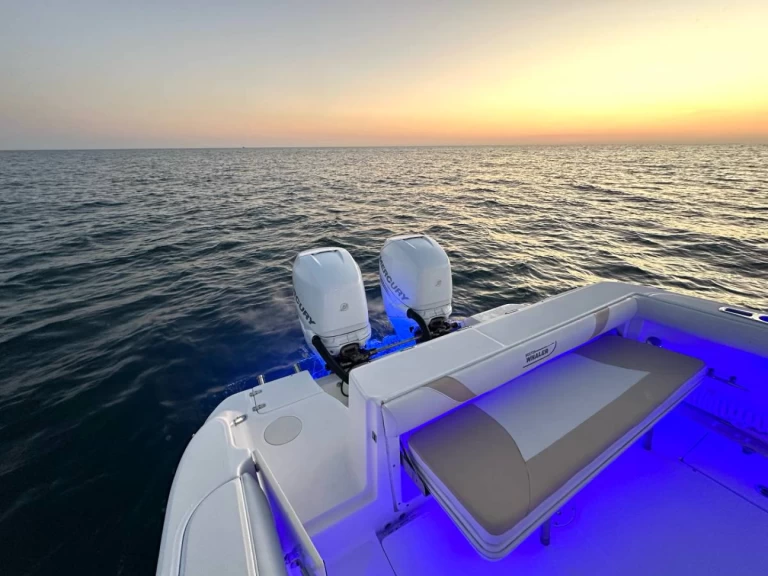 Motorboat rental in Hydra - Boston Whaler Boston Whaler 320 Outrage