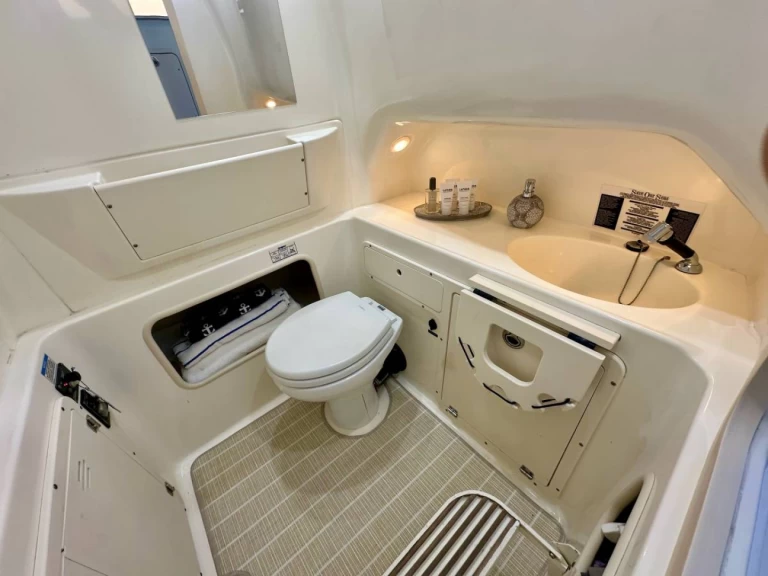 Boat rental Boston Whaler Boston Whaler 320 Outrage in Hydra on Samboat