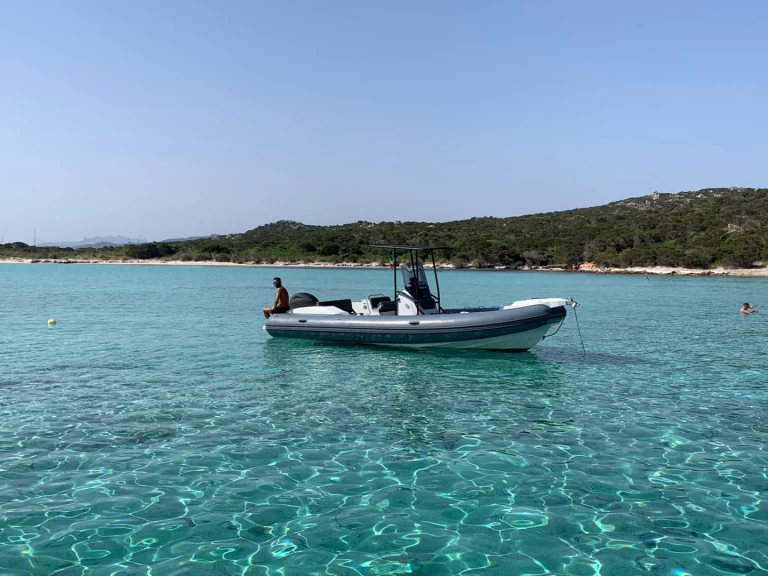 RIB for rent Palau at the best price