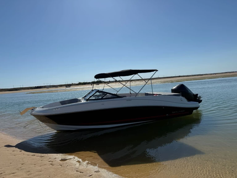 Motorboat rental with or without captain Bayliner Faro