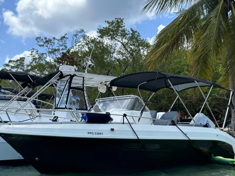 Boat rental Pacific Craft Pacific Craft 630 in Le Gosier on Samboat
