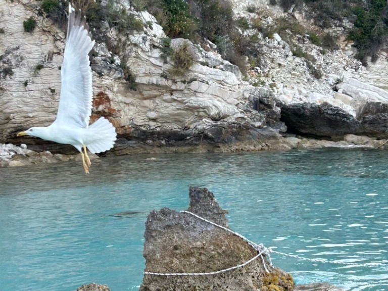 Catamaran for rent Lefkáda at the best price