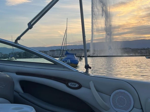 Rent a Sea Ray 202 Geneva (City)