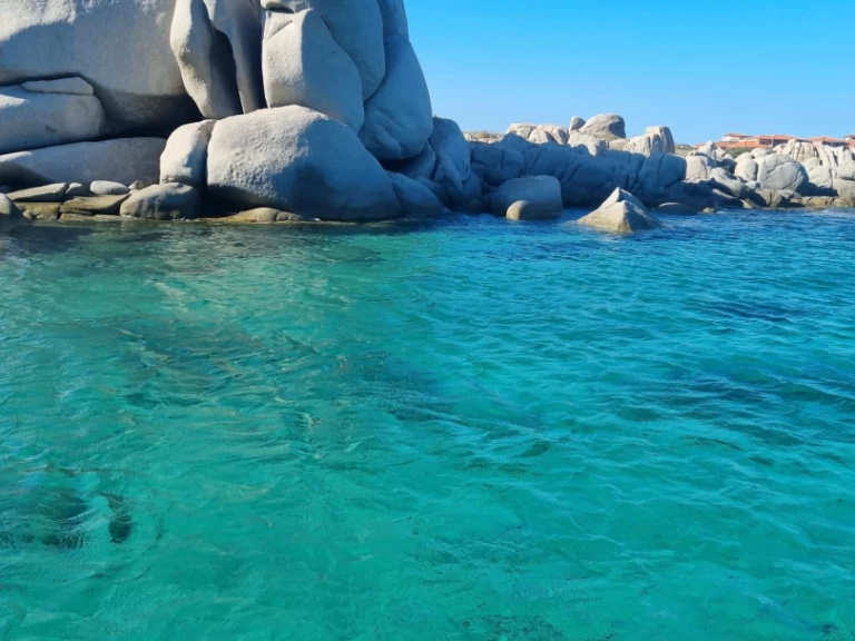 RIB rental with or without captain Capelli Porticcio