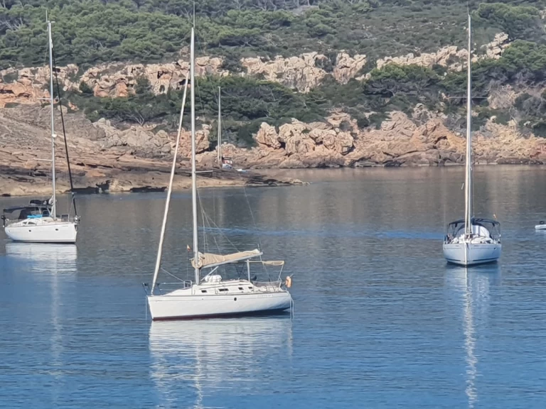 Yacht charter Canet-en-Roussillon cheap First 310