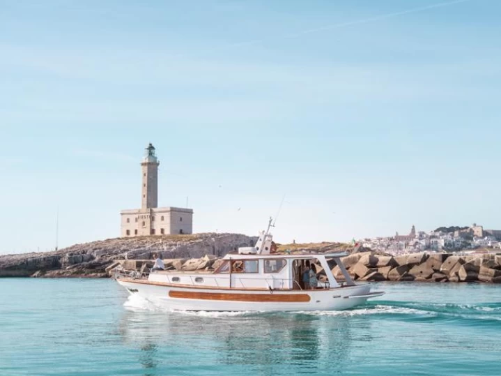 Motorboat rental in Vieste - Jeanneau Albatros 750