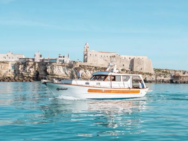Boat rental Jeanneau Albatros 750 in Vieste on Samboat