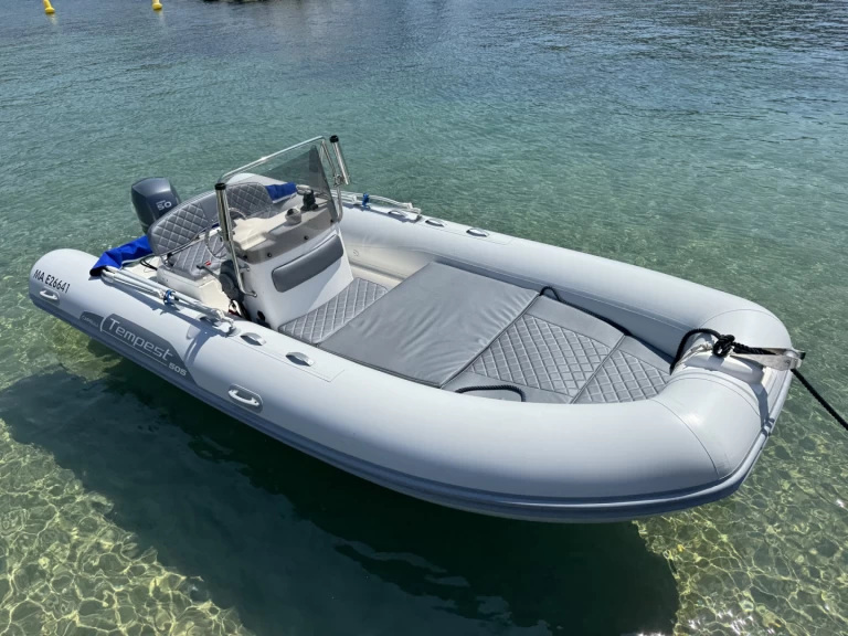 RIB rental with or without captain Capelli La Madrague