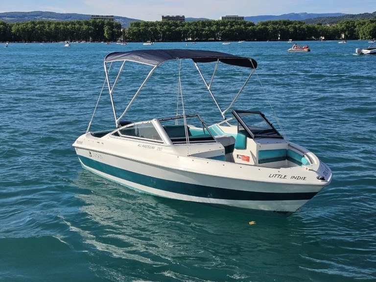 Motorboat rental in Annecy - Larson 150