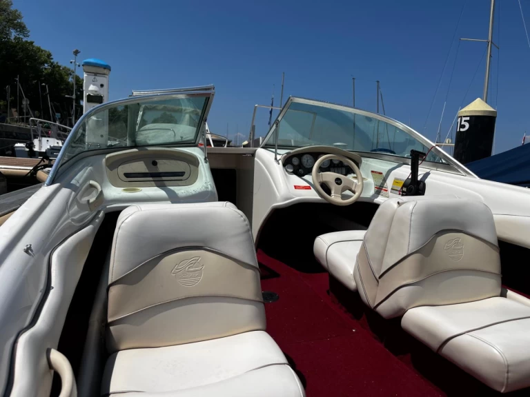 Motorboat rental in Évian-les-Bains - Sea Ray Sea Ray 175 Bow Rider