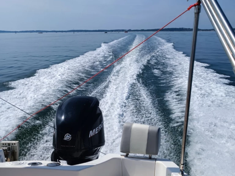 Quicksilver Quicksilver 555 WA Commander charter bareboat or captained in  Trébeurden