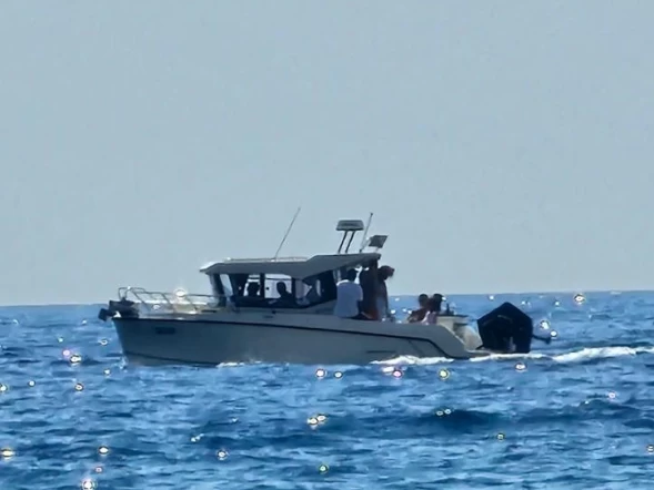 Rent a Quicksilver Pilithouse 805 cabine Budva