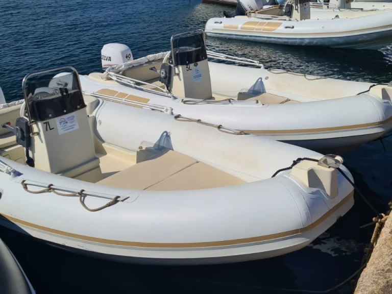 RIB rental in Stintino - rib marine 550
