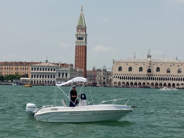 Bluline Bluline 19 Ft Open Plus in Venice on SamBoat