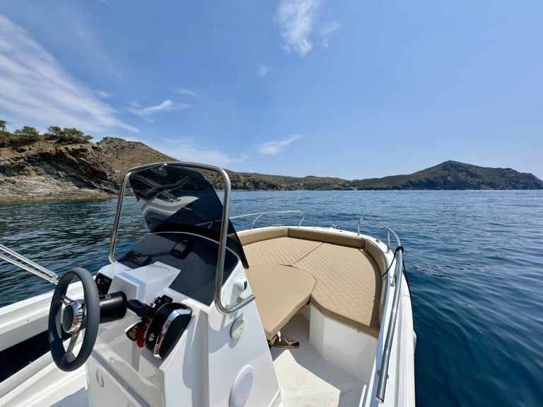 Rent a Barqa Q20 Roses