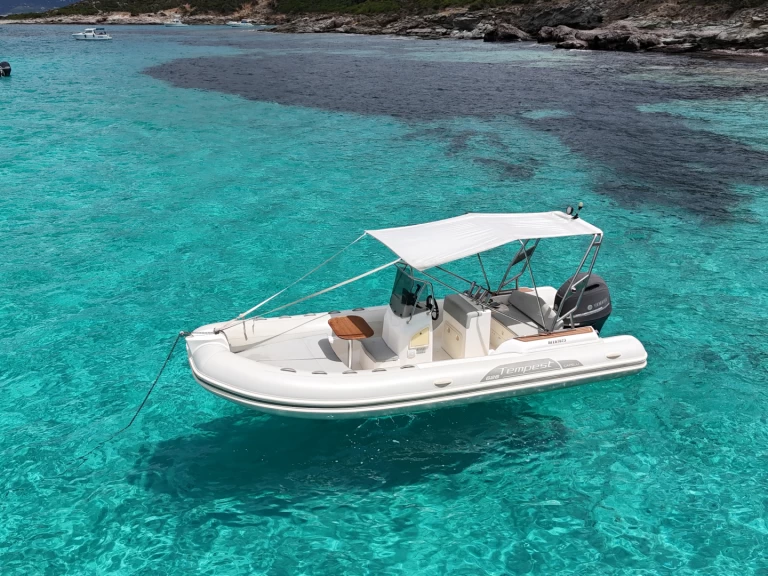 Boat rental Capelli Tempest 626 in Saint-Florent on Samboat