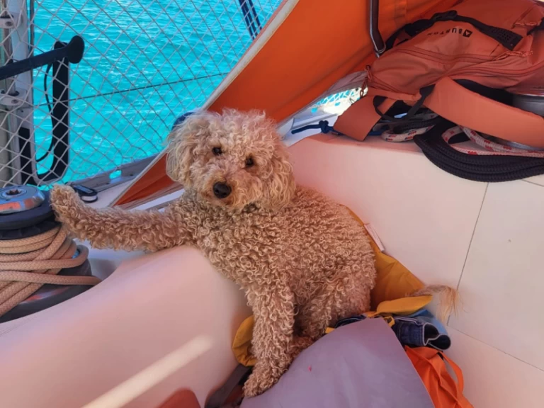 Yacht charter Saint-Florent cheap Sun Fizz