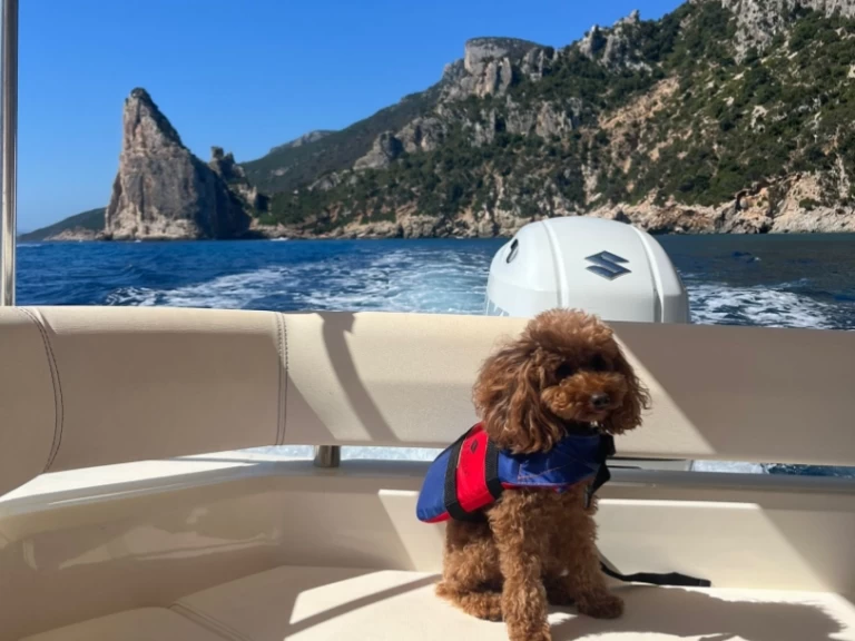 Rent a Bsc BSC 70 Classic Villasimius