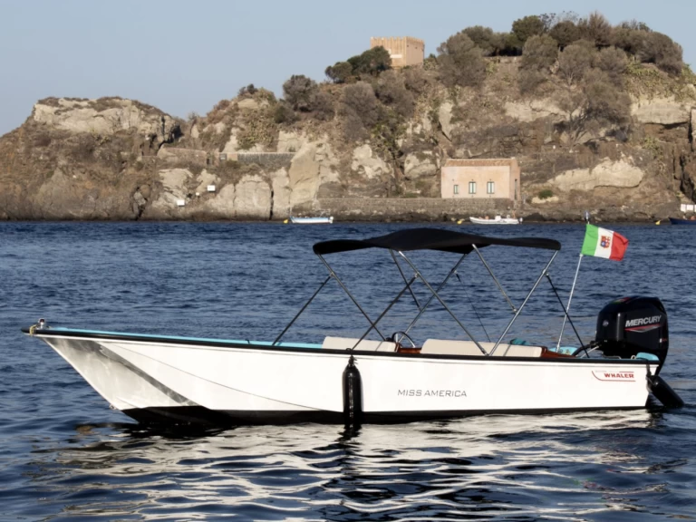 Boston Whaler Boston Whaler 17 in Aci Trezza on SamBoat