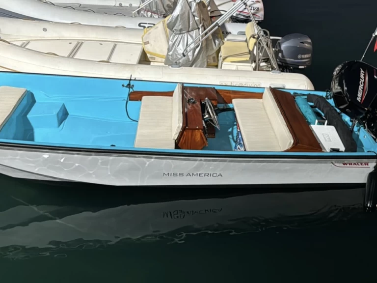 Rent a Boston Whaler Boston Whaler 17 Aci Trezza